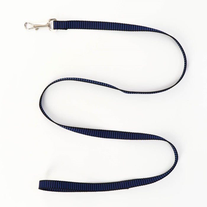 Комплект амуниции рельефный, поводок 120 х 1,5 см, ОГ 36-49 см, сине-чёрный