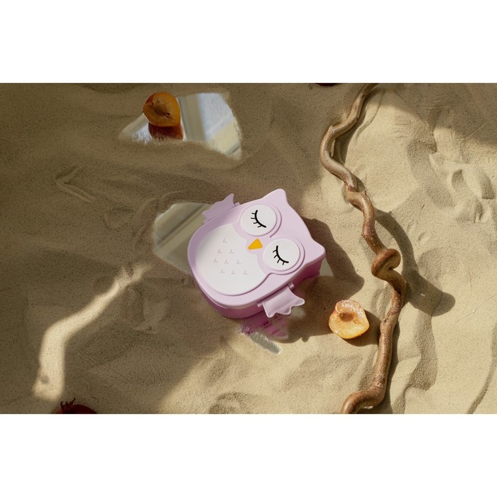 Ланч - бокс пластиковый с ложкой&laquo;Совушка&raquo;, 2 отделения: 300 мл, 450 мл, цвет МИКС