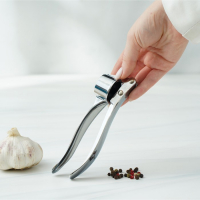 Пресс для чеснока Доляна &laquo;Эрнест&raquo;, 15 см, цвет серебряный