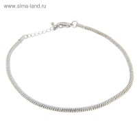 Браслет для шармов &laquo;Карабин&raquo;, основа, цвет серебро, 23 см