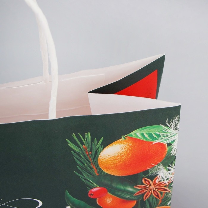 Пакет подарочный новогодний крафтовый &laquo;Новогодняя суета&raquo;, 25 х 22 х 12 см, Новый год