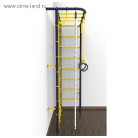 Детский спортивный комплекс &laquo;Рукоход угловой&raquo;, цвет ультрамарин