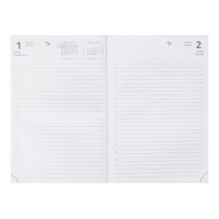 Ежедневник датированный 2024 года, А5, 176 листов, Attomex.Lancaster, обложка балакрон, ляссе, блок 70 г/м2, зелёный