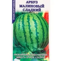 Семена Арбуз Малиновый сладкий /Сотка/ 0,5г/ среднеран. 5-10кг/ *900