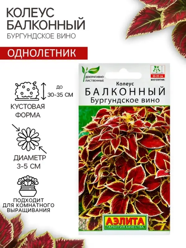 Семена цветов Колеус балконный "Бургундское вино", ц/п, 5 шт