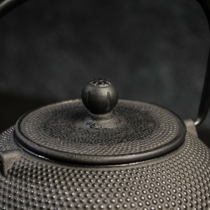 Чайник чугунный Magma &laquo;Восточная ночь&raquo;, 600 мл, с ситом, эмалированный внутри