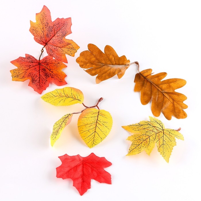 Набор для творчества &laquo;Материалы для осенних поделок. Листья, шишки&raquo;