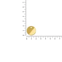 Шильдик металлический Alfa Sirkel, золотистый глянцевый