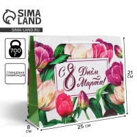 Пакет подарочный ламинированный горизонтальный, упаковка, &laquo;С днём 8 марта&raquo;, ML 25 х 21 х 8 см