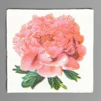 Салфетки бумажные Гармония цвета многоцветие "Пион розовый", 24*24 см 50 листов