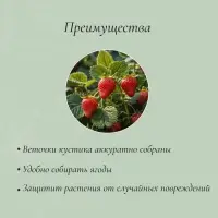 Кустодержатель для клубники, d=15 см, h=25 см, ножка d=0.3 см, металл, зелёный, Greengo
