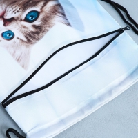 Мешок для обуви &laquo;Милый котик&raquo; 2 секции, 30&times;40 см