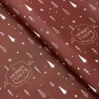 Бумага упаковочная новогодняя глянцевая двусторонняя &laquo;Изысканность&raquo;, 50&times;70 см