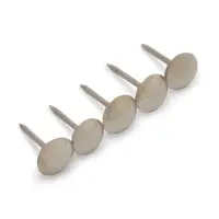 Гвозди ТУНДРА, декоративные, обивочные, 8&times;15 мм, хром, фасовка 50 шт.