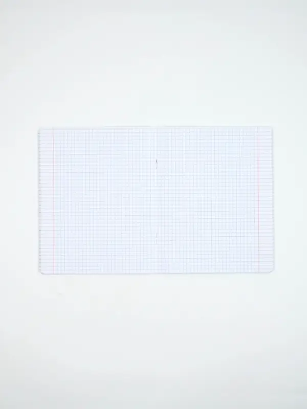 Тетради в клетку, 48 л., набор из 5 шт., блок №1 &laquo;Россия&raquo;