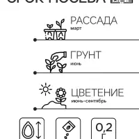 Семена цветов Книфофия "Сюрприз", Евро, 0,2 г