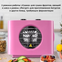 Сушилка для овощей и фруктов КТ-1952 - 300 Вт