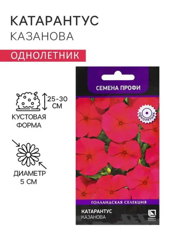 Семена цветов Катарантус "Казанова", 10шт