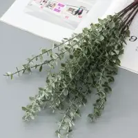 Цветы искусственные &laquo;Эвкалипт цинерия&raquo;, h=53 см, зелёные