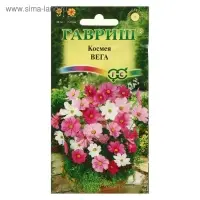 Семена цветов Космея "Вега", ц/п,  бело-розовая смесь, 0,5 г