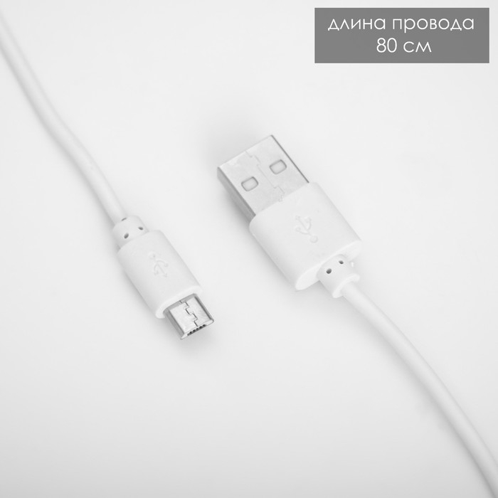 Настольная лампа "Делсер" LED 3Вт USB АКБ зелёный 14х13х39 см RISALUX