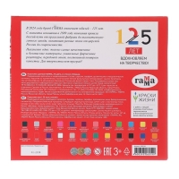 Пластилин 24 цвета 480 г Гамма "Орнамент", со стеком, картон