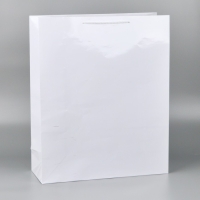 Пакет подарочный ламинированный, упаковка, &laquo;Белый&raquo;, 40 х 49 х 15 см