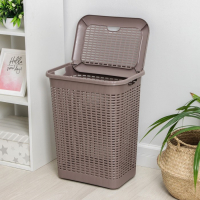 Корзина бельевая с крышкой, 50 л, 42&times;31&times;56 см, цвет МИКС