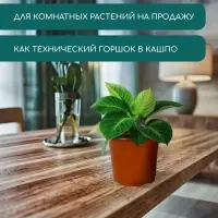 Горшок для рассады, 1,1 л, d = 14 см, h = 12 см, мягкий пластик, терракот, Greengo