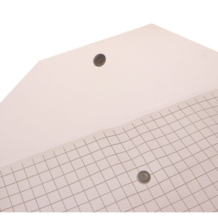 Набор папок-конвертов на кнопке А4, 140 мкр, 20 штук, клетка прозрачная, МИКС