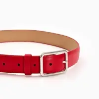 Ремень жен 05-01-02-01, Июнь2505, 3*0,3*110 см, без винта, пряж мат металл, 1 прокол, красн   109031