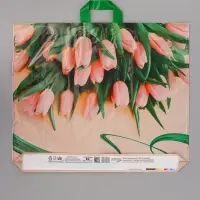 Пакет подарочный Райские тюльпаны 50 х 60 см 60 мкм