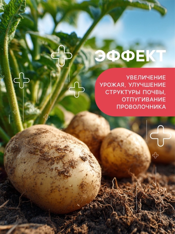 Удобрение органоминеральное картофельное, 5кг