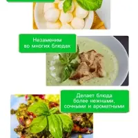 Семена Базилик "Зеленый ароматный", 0,1 г