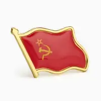 Значок &laquo;Флаг СССР&raquo;, 2&times;3 см, цвет красный в золоте