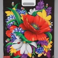 Пакет "Мак, полиэтиленовый с вырубной ручкой 41х51х4 80мкм