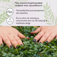 Декоративная панель, 60 &times; 40 см, &laquo;Мокрица&raquo;, Greengo