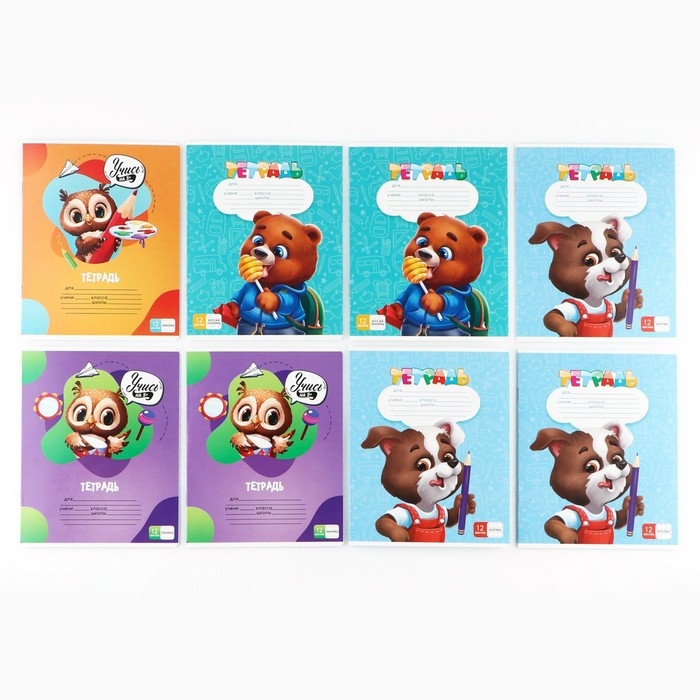 Набор первоклассника в папке для тетрадей 25 предметов &laquo;1 сентября Учусь на 5+&raquo;