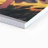 Тетрадь в клетку А4, 80 листов на скрепке &laquo;1 сентября:Аниме пара&raquo;