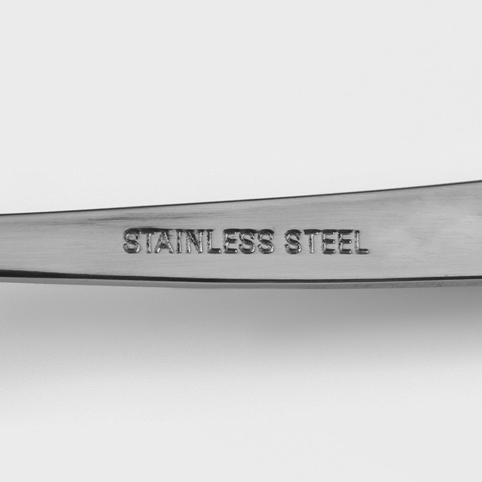 Ложка столовая из нержавеющей стали Доляна &laquo;Верона&raquo;, длина 19,3 см, толщина 2 мм, цвет серебряный