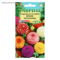 Семена цветов Георгина "Яркие помпоны", ц/п,   0,2 г