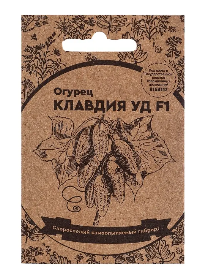 Набор семян Огурец "Клавдия", F1, 5 шт.