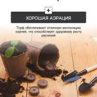 Набор для рассады: торфяной горшок 6&times;6 см, кассета на 6 ячеек, 17.5&times;13.5 см, Greengo