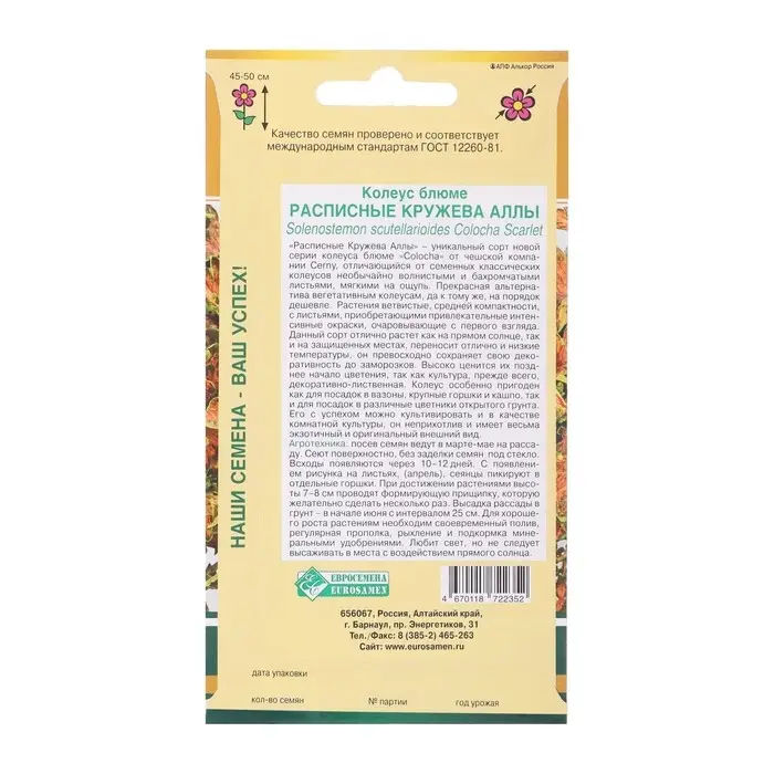 Семена Колеус блюме  "Кружева Аллы",  10 шт