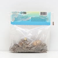 Лилия Азиатская Кашпо Cascavel, луковица в пакете с перфорацией, р-р 12/14, 2 шт.