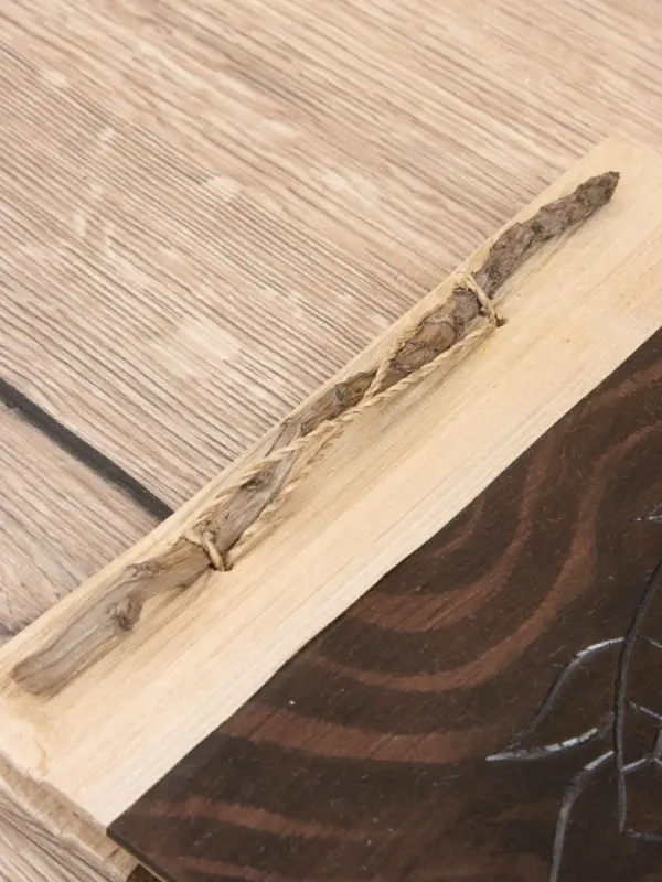 Фотоальбом "Черепаха" 10 листов, 19х19х2 см, цв. коричневый