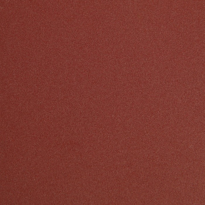 Круг абразивный шлифовальный под "липучку" ТУНДРА, 125 мм, Р320, 10 шт.