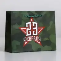 Пакет подарочный ламинированный, упаковка, &laquo;С 23 февраля&raquo;, S 15 х 12 х 5.5 см