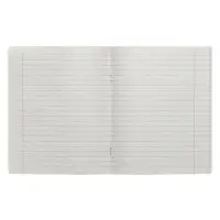 Тетрадь предметная 48 листов в линейку Calligrata &laquo;3D. Русский язык&raquo;, серые листы