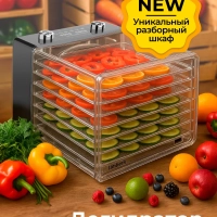 Сушилка для овощей и фруктов, дегидратор T-PFD42131